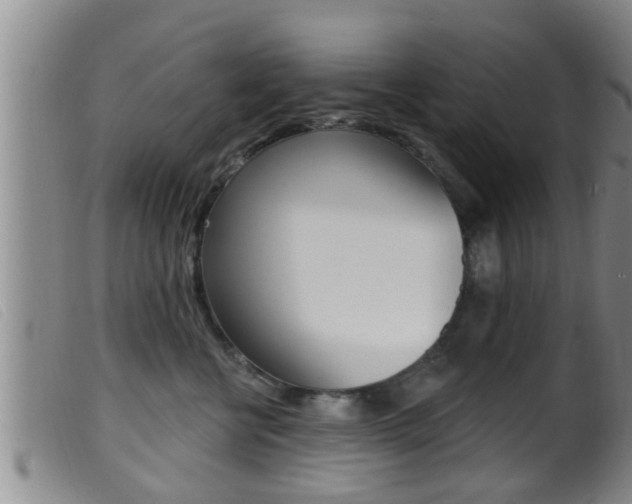 X0000099950570200805231004