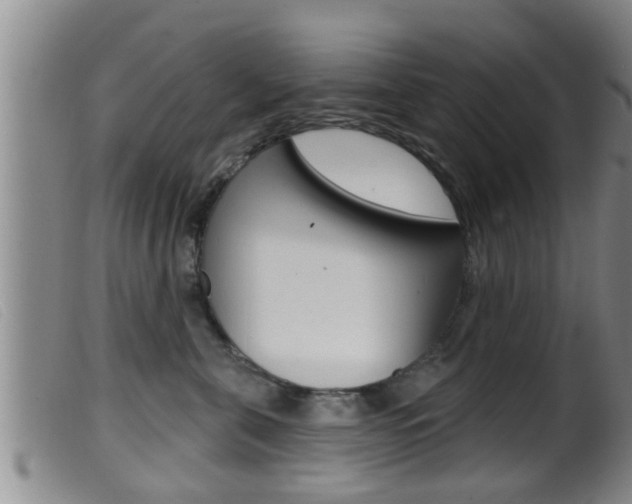 X0000099950571200805231004