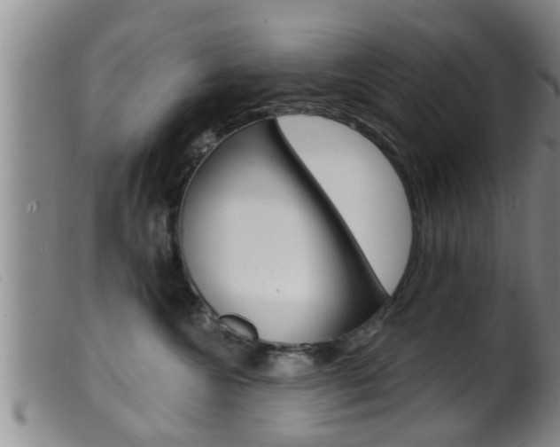 X0000099950572200805231004