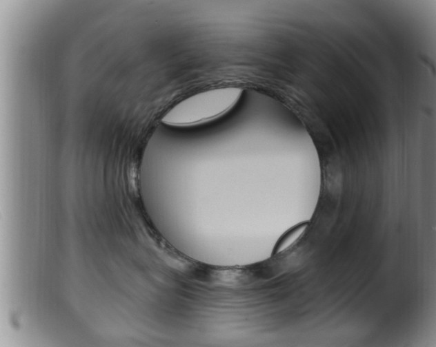 X0000099950575200805231004