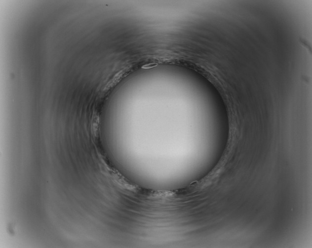 X0000099950576200805231004