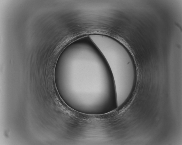 X0000099950577200805231003