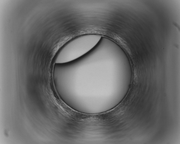X0000099950578200805231003