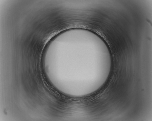 X0000099950579200805231003