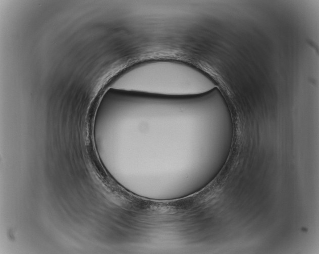 X0000099950582200805231003