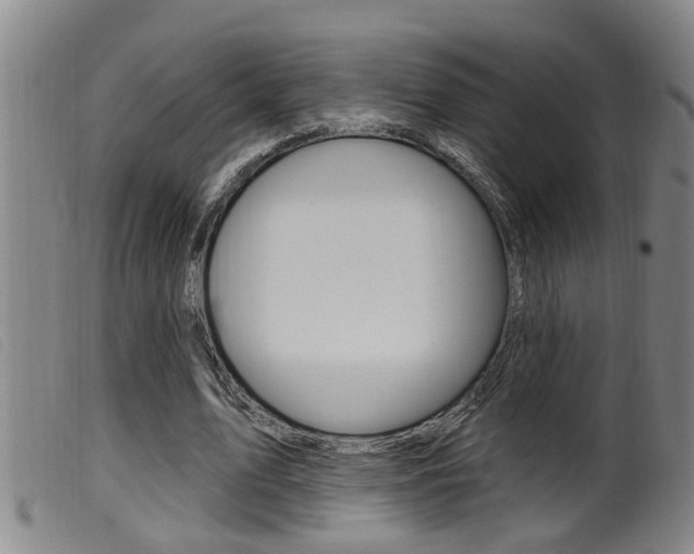 X0000099950583200805231003