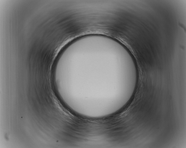 X0000099950584200805231003