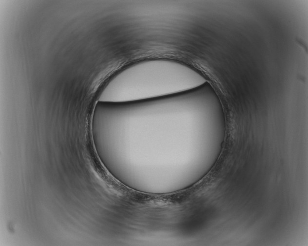 X0000099950586200805231003