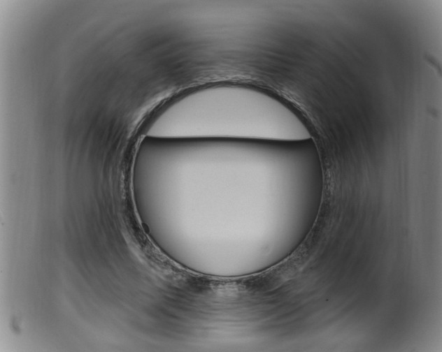 X0000099950587200805231003