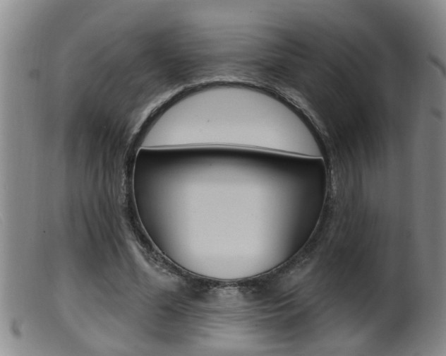 X0000099950588200805231003