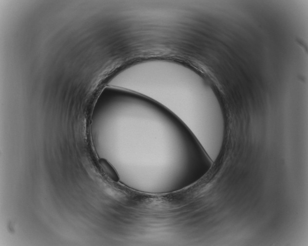 X0000099950589200805231003