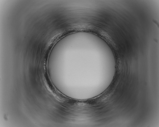 X0000099950590200805231003