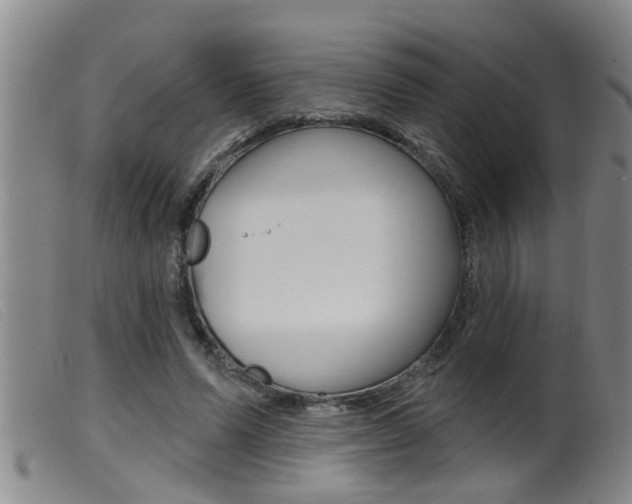 X0000099950591200805231003