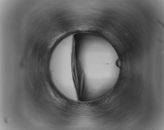 X0000099950592200805231003