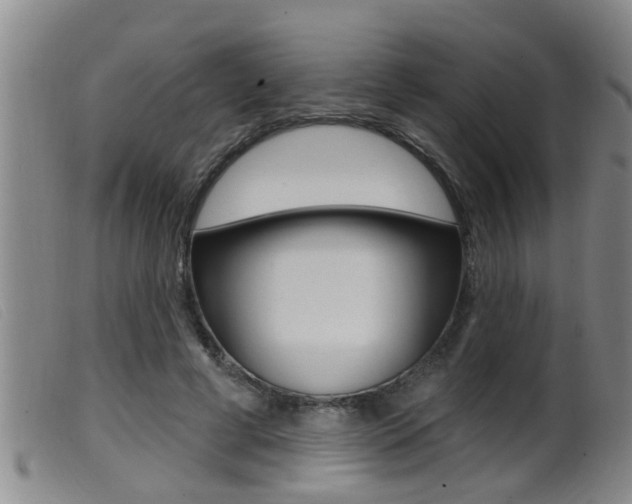 X0000099950593200805231003