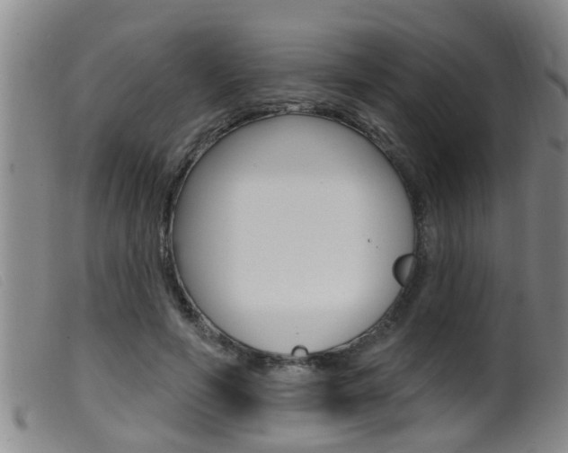 X0000099950594200805231003