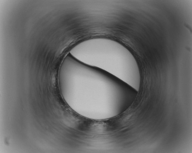 X0000099950595200805231003