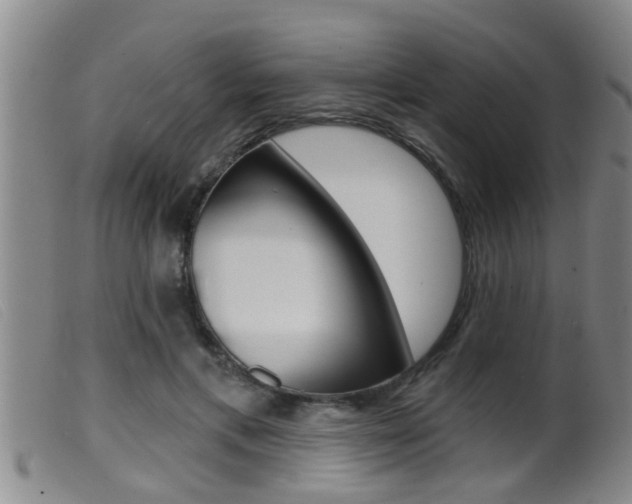 X0000099950597200805231003