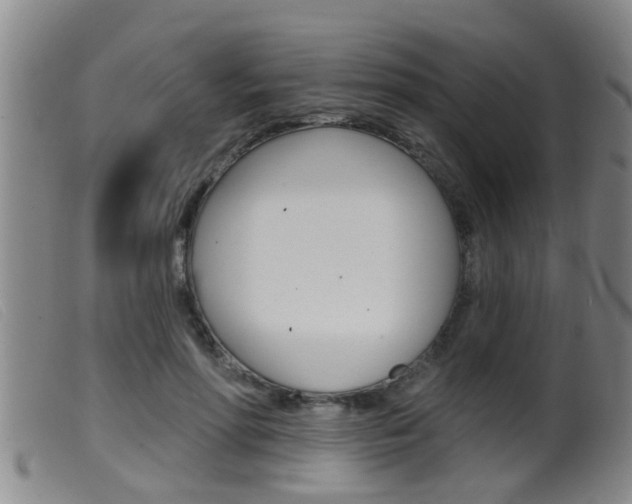 X0000099950598200805231003