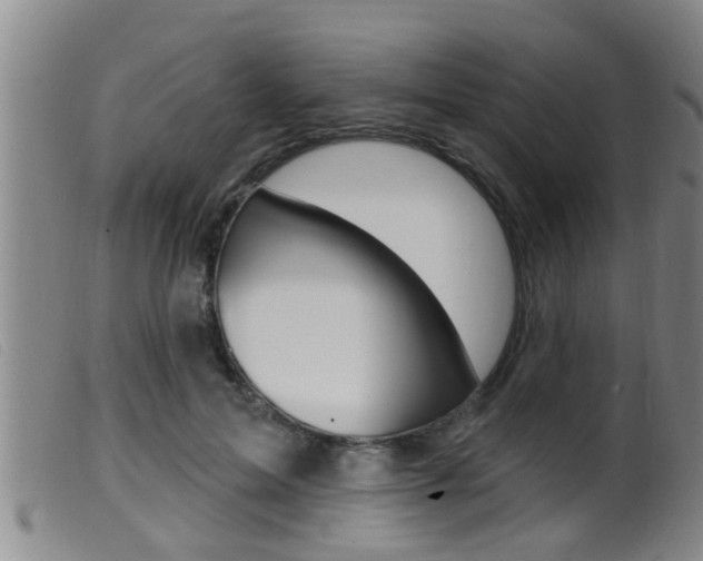 X0000099950599200805231003