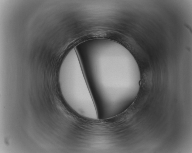 X0000099950600200805231003