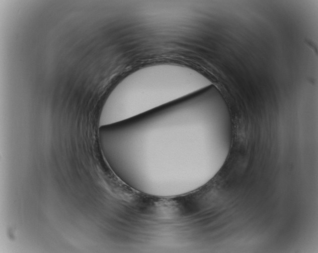 X0000099950603200805231003