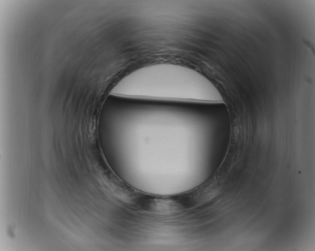 X0000099950605200805231003