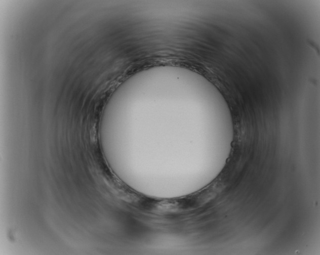 X0000099950606200805231003