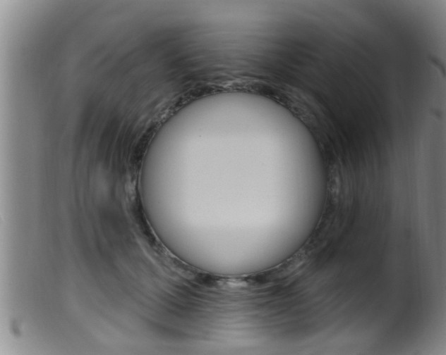 X0000099950607200805231003