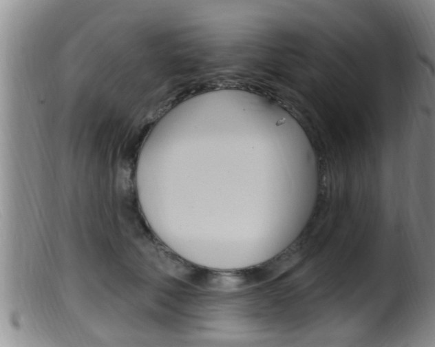 X0000099950610200805231003