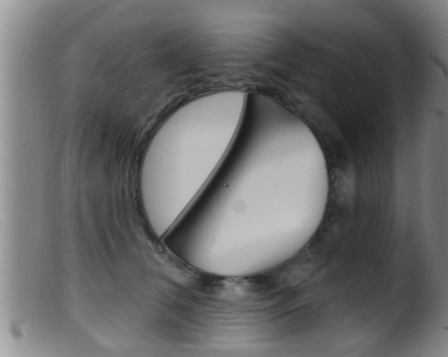 X0000099950612200805231003