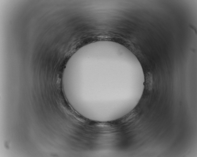 X0000099950614200805231003