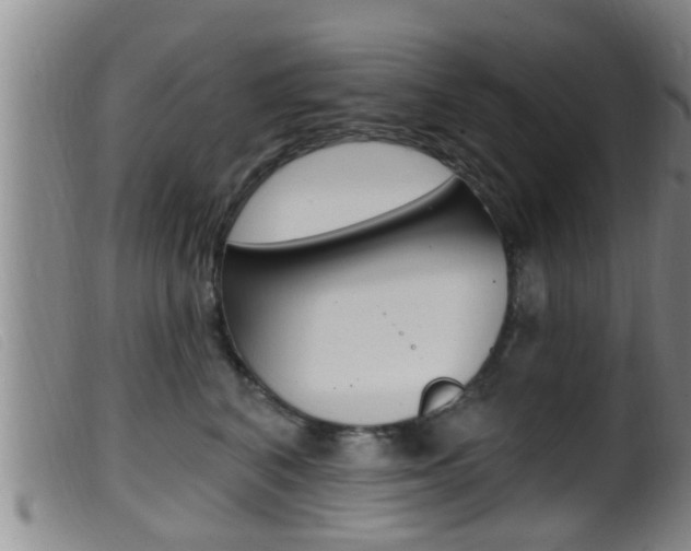 X0000099950616200805231003