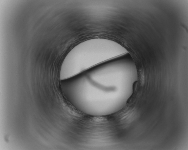 X0000099950619200805231003