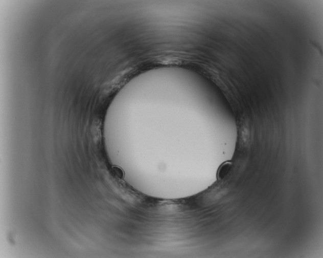 X0000099950620200805231003