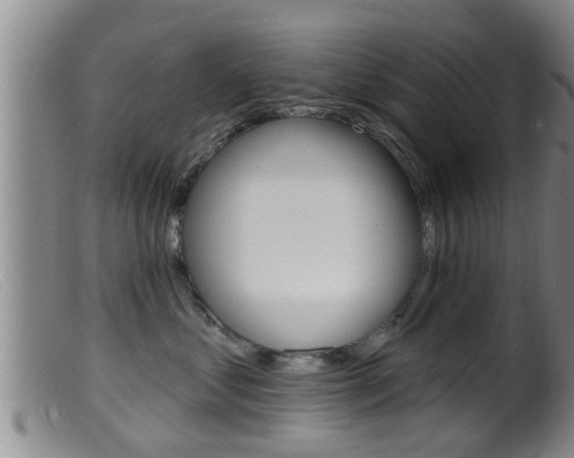 X0000099950621200805231003