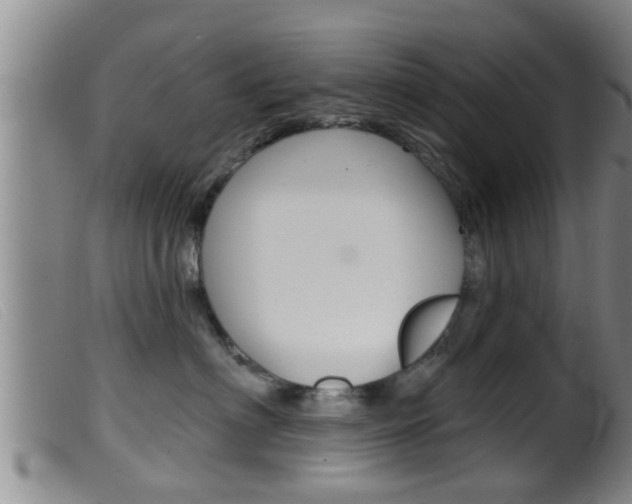 X0000099950622200805231003