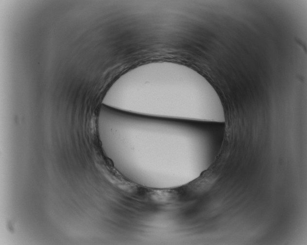 X0000099950623200805231003