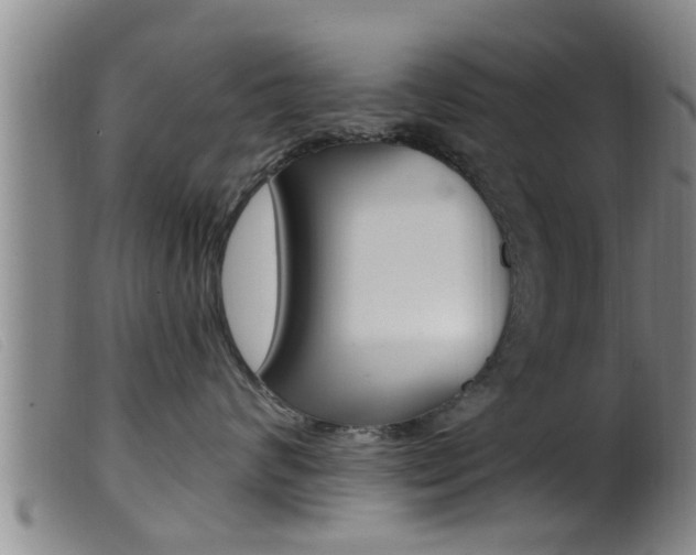 X0000099950624200805231003