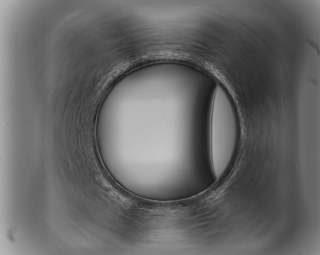 X0000099950625200805231002
