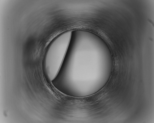 X0000099950626200805231002