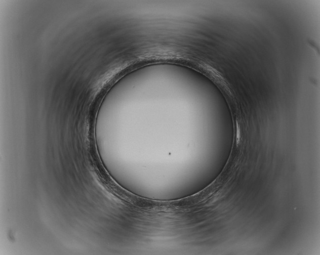 X0000099950627200805231002