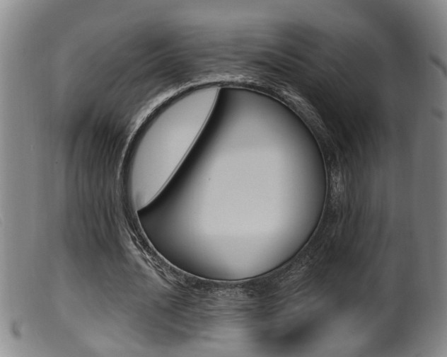 X0000099950628200805231002