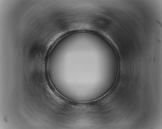 X0000099950629200805231002