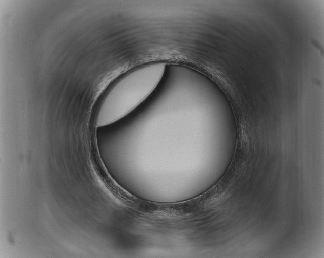 X0000099950630200805231002