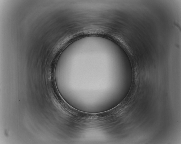 X0000099950631200805231002