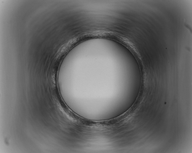X0000099950633200805231002