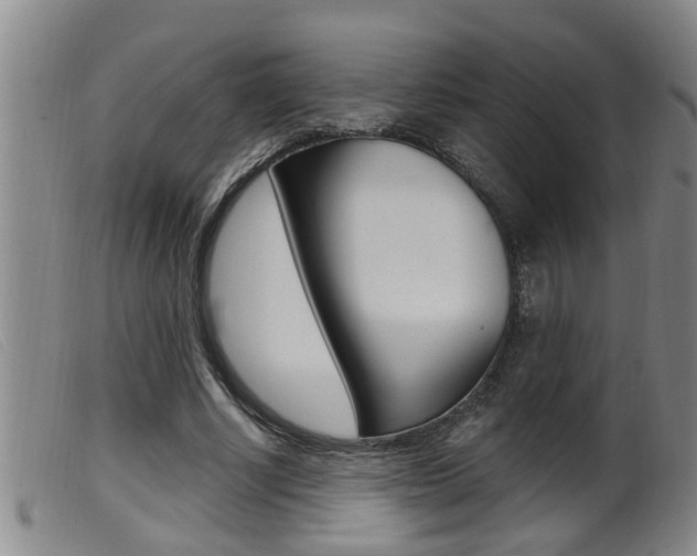 X0000099950634200805231002