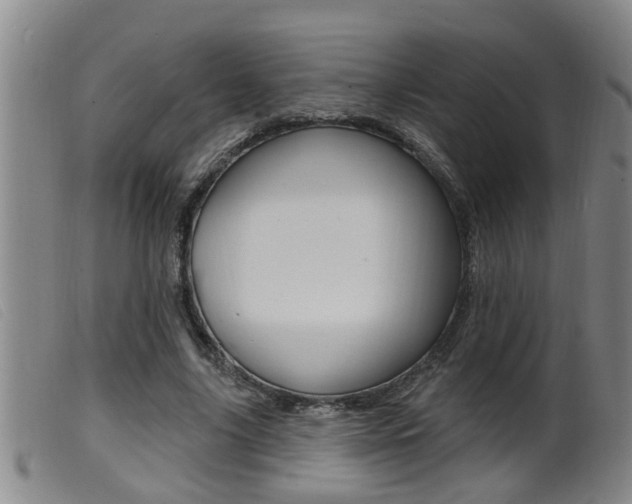X0000099950635200805231002