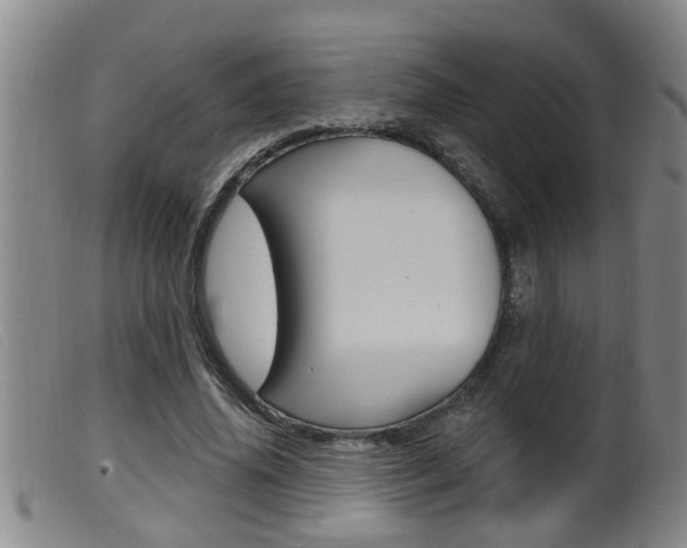 X0000099950636200805231002